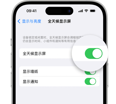 阜沙镇苹果15预约维修分享iPhone15如何设置全天候显示屏幕可见 