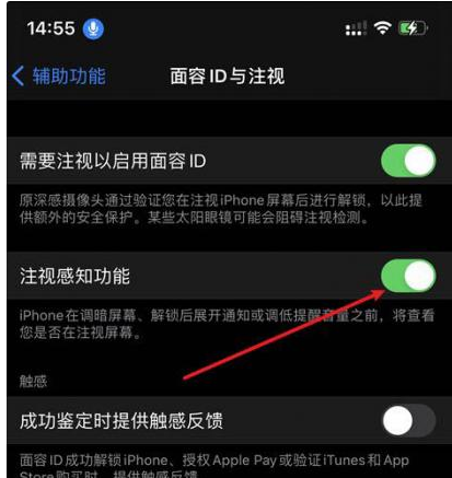 阜沙镇苹果14维修网点分享iPhone14注视感知功能有什么用 