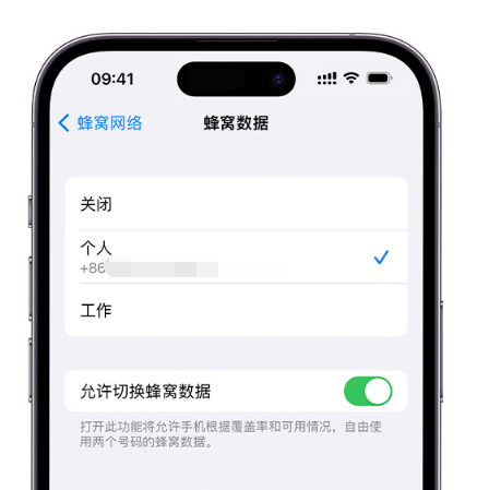 阜沙镇苹果维修服务分享如何在iPhone上使用双卡 